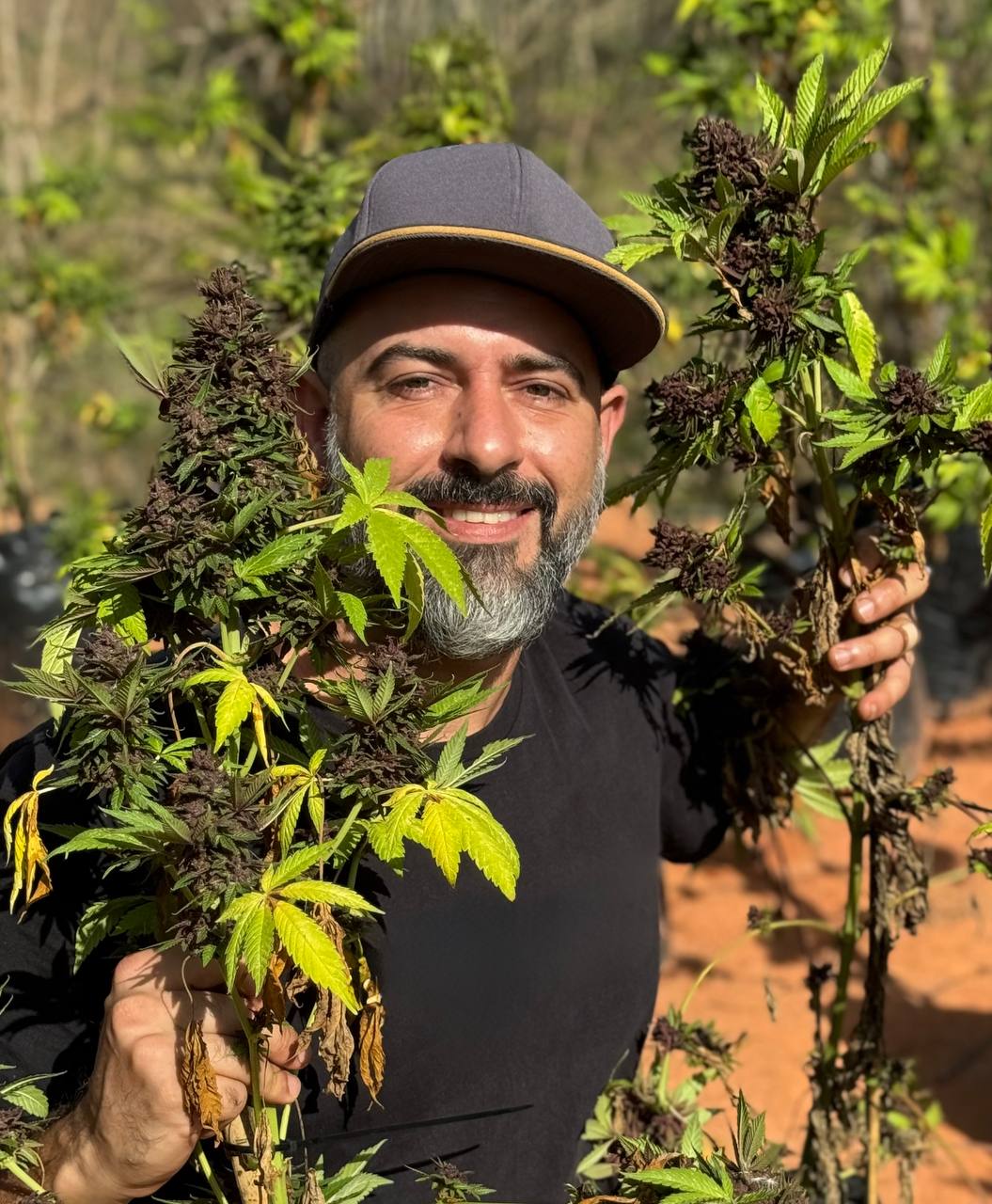 Renato de Traglia Tonini