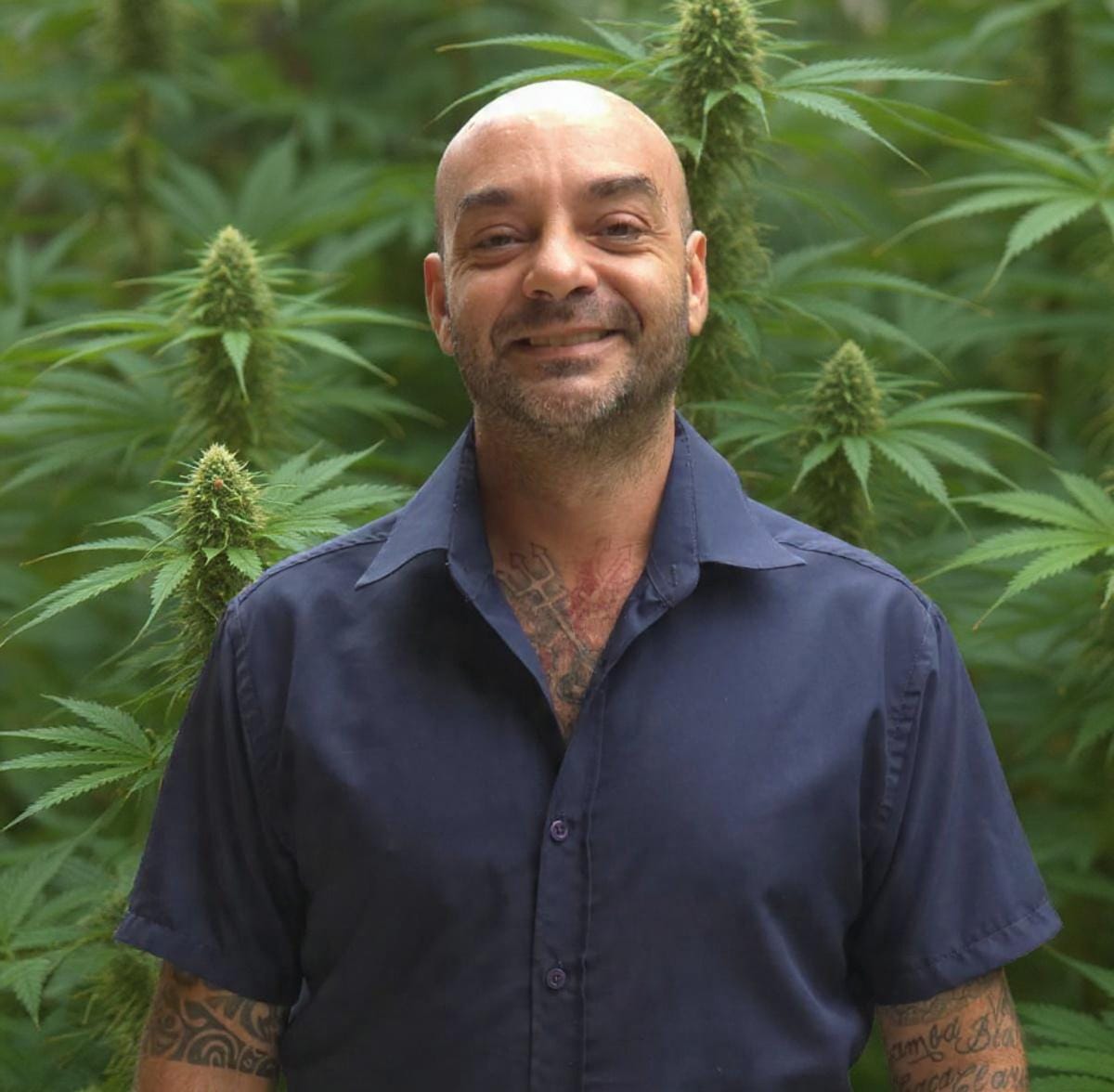 Fabio Mercante de San Juan