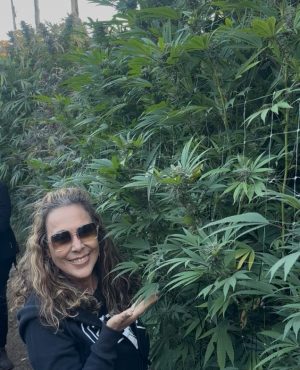 Lilia Aparecida Salgado de Morais